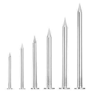 304/201不锈钢圆钉钢钉元钉木工木头挂画钉加长洋钉铁钉地板钉子