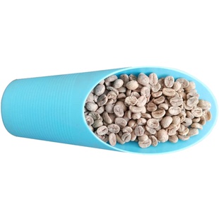 咖啡豆种子优质咖啡豆果树植物阳台庭院盆栽种植咖啡树种籽树4