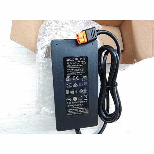 【议价-可维修】 EcoFlow29V6.2A 正浩 /均有货