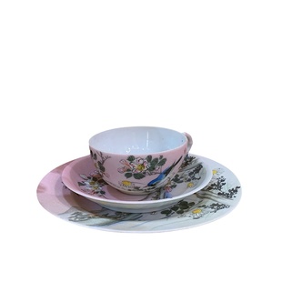 咖啡杯ins田园风陶瓷手绘雀鸟家用高颜值创意复古下午茶奢华精致