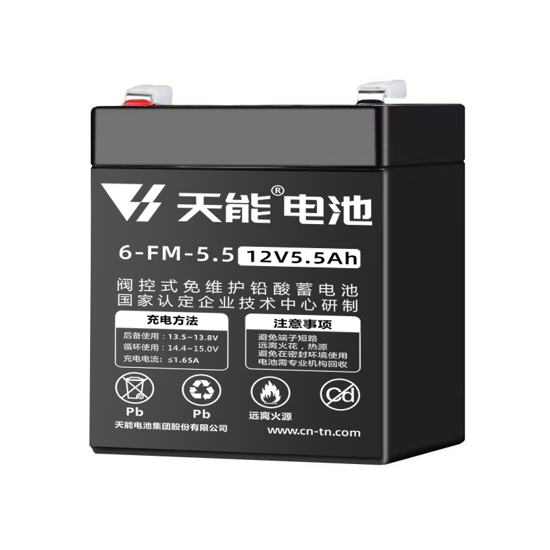 儿童玩具车电瓶6V12伏电动童车