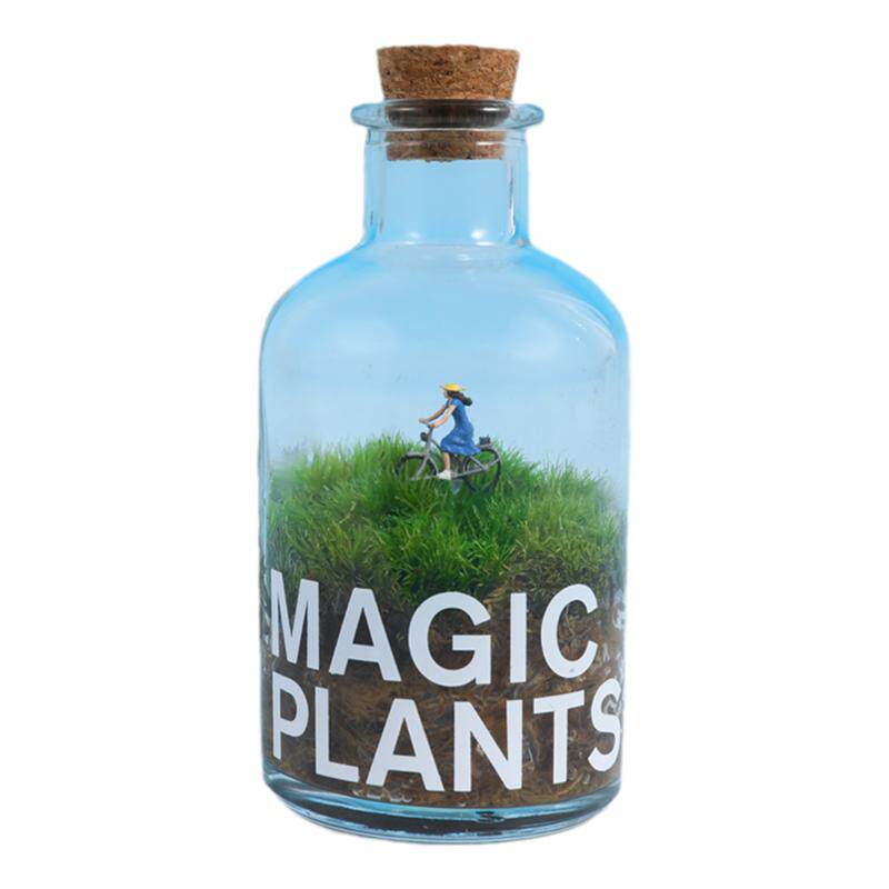 神奇植物私人草坪苔藓微景观漂流瓶绿植室内桌面好养盆栽创意礼物