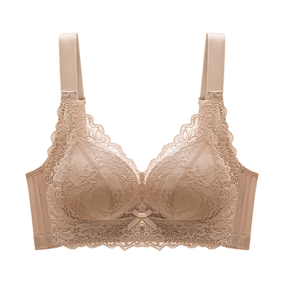 蕾丝内衣小胸聚拢女士无钢圈胸罩
