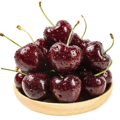 【现货】智利车厘子5斤礼盒新鲜水果当季整箱桑提娜4J进口大樱桃