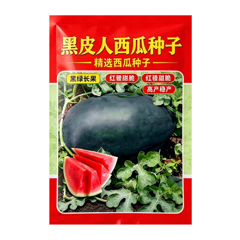 【买二送一】黑皮西瓜种子皮薄汁水足甜度好春夏易种耐热瓜果种子