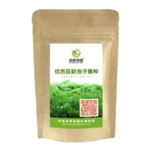苔藓孢子粉种子粉耐晒青苔吸水石假山上水植物附石草花盆铺面草籽