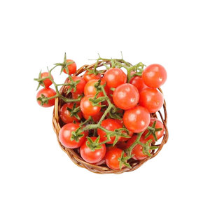 粉红瀑布小番茄种子抗裂鲜美多汁甜美高糖传家宝春秋室内阳台品种