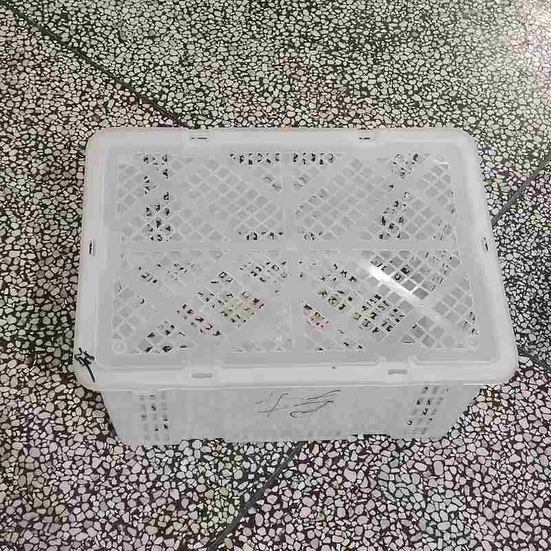 白色带盖塑料筐龙眼筐桂圆筐鸡苗鸭苗鹅苗快递筐鸽子快递笼