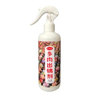金枝玉叶出锦药专用增红变色剂多肉增色变红免稀释营养液