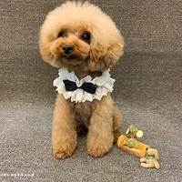 Черная точка