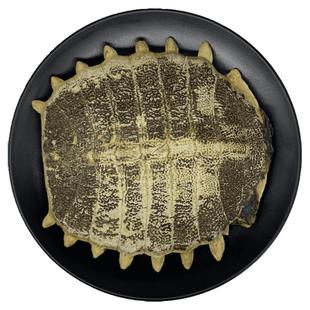 鳖甲中药材鳖甲壳生鳖甲甲鱼壳鳖壳上甲盖王八壳非野生可打鳖甲粉