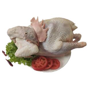 农家散养2年老母鸡下蛋鸡笨溜达鸡新鲜月子鸡肉当天现杀顺丰包邮