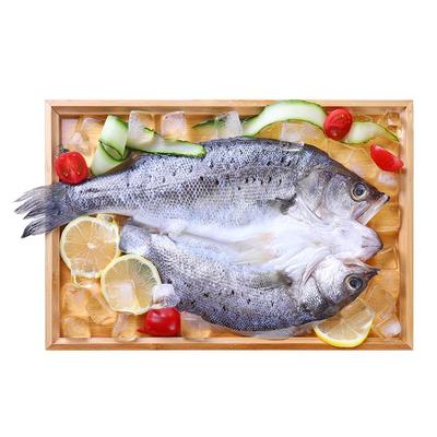 鲜到鲜得白蕉海鲈鱼1050g*2三去处理真空包装
