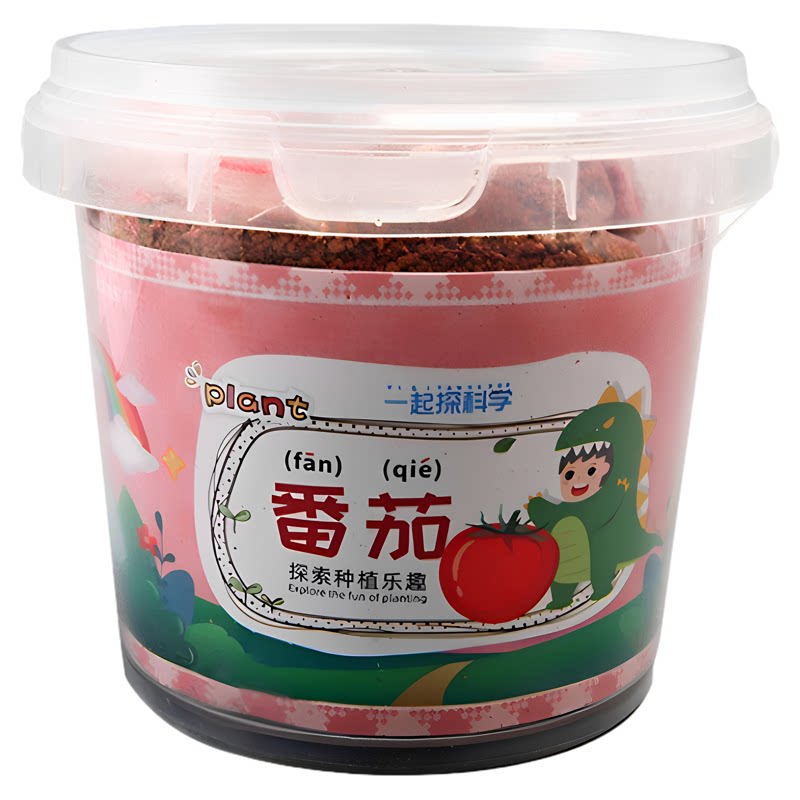儿童创意种子发芽科学小制作