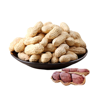 龙岩花生 湿烤香酥花生四粒红 蒜蓉 闽西连城特产 带壳花生500克