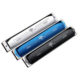 德国进口音簧天鹅口琴24孔28孔成人c调复音专业演奏级官方旗舰店