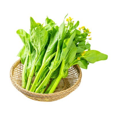 蔬菜种子四季白菜生小香葱菜播阳台盆栽辣椒萝卜瓜果秋种籽子大全
