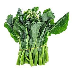 甜芯绿芥蓝种子柳叶百花甜脆芥兰种籽四季菜心种孑蔬菜农家种子