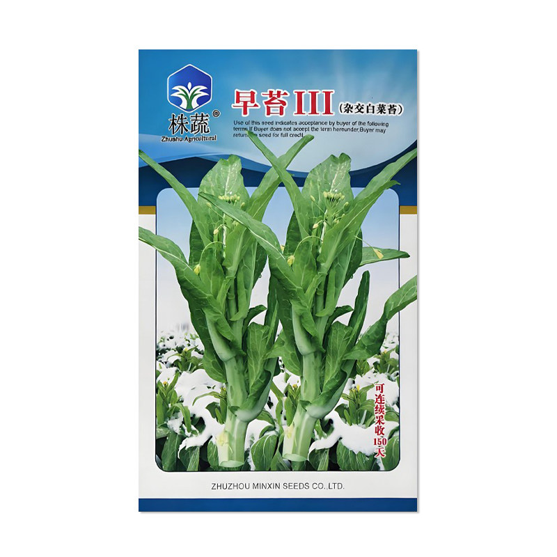株蔬早苔3杂交白菜苔种子