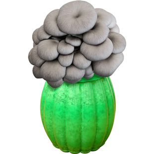 蘑菇种植包菌包菌菇家种平菇香菇灵芝香菇金针菇食用菌种家庭室内