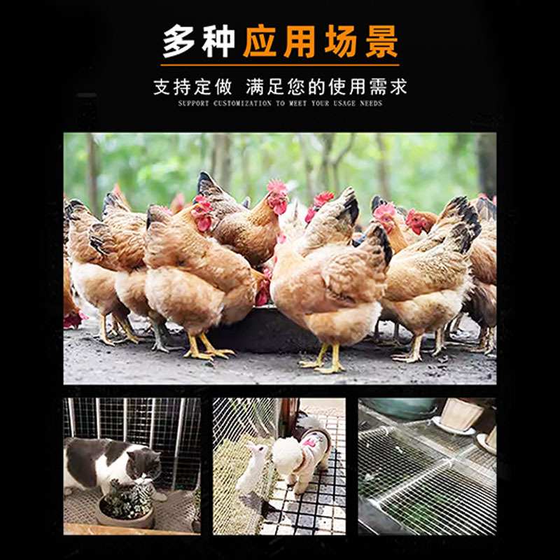 304不锈钢镀锌电焊网片养殖养铁丝防护网钢丝围栏方格兔鸡鸽网