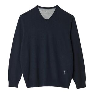 GORNIA/格罗尼雅男士长袖针织衫100%山羊绒时尚百搭温暖羊绒衫