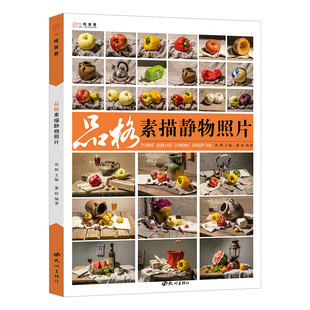 品格素描静物照片书临摹素材写生图片美术实物教材对画构图几何单体组合石膏五官头像陶罐蔬果艺考高考联考美院范画图库高清图画册
