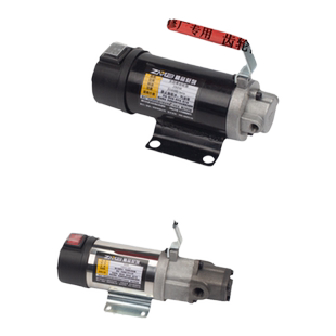 高粘度自吸式齿轮泵电动抽油泵柴油机油食用油液压油直流12V24V