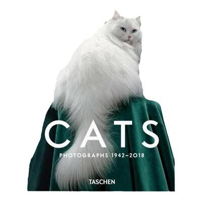 WalterChandohaCatsPhotograp