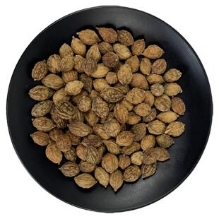 益智仁中药材正品香料益智仁子米茶非野生泡水喝搭菟丝子金樱子粉