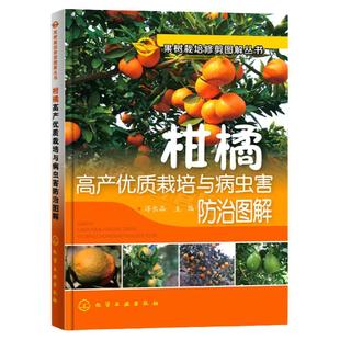 柑橘高产优质栽培与病虫害防治柑橘种植技术书果树修剪书籍果树嫁接技术图解书柑橘与橙橘子柑橘学柑橘种植管理技术柑橘书籍