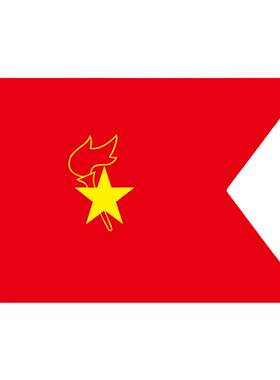 少先队旗帜先锋队大队旗
