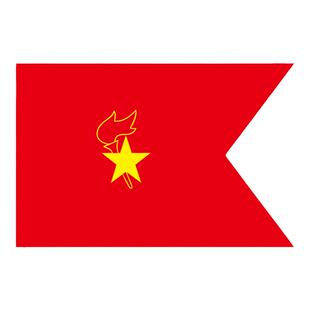 少先队队旗中国少年先锋队队旗大队旗手拿小学生少先队员队旗中队旗小队旗旗帜大号2号3号4号春亚纺定制旗杆