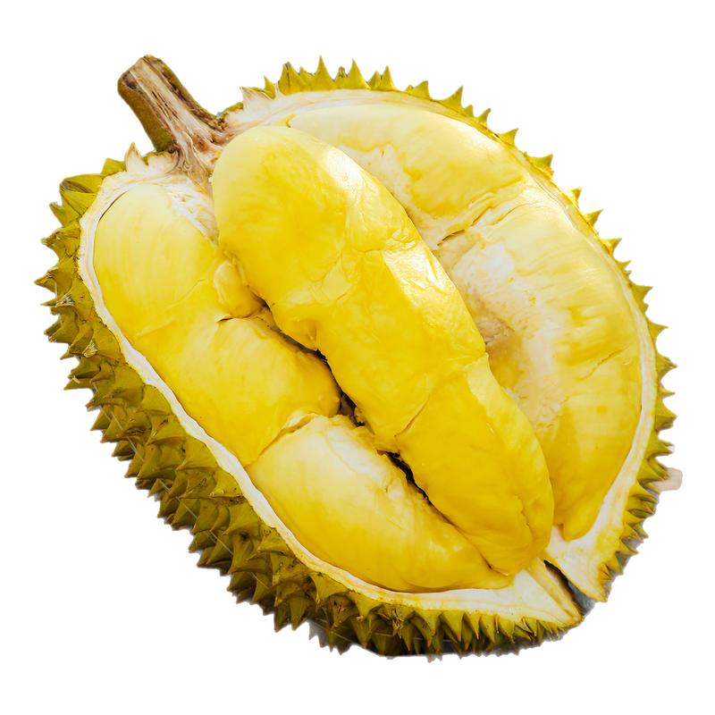 金枕榴莲颗颗保4-5房！商超级A果