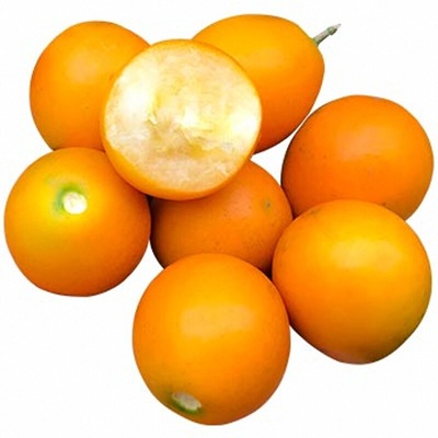 大果广西融安滑皮应当季金桔