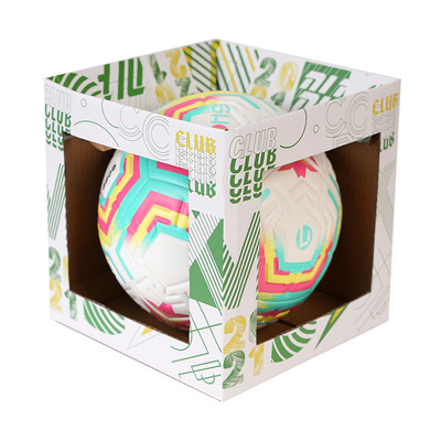 李子比赛训练英超5号足球欧洲杯