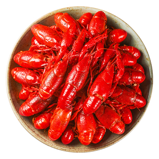 国联水产麻辣蒜蓉小龙虾大号新鲜整虾加热即食熟食鲜活新虾虾尾