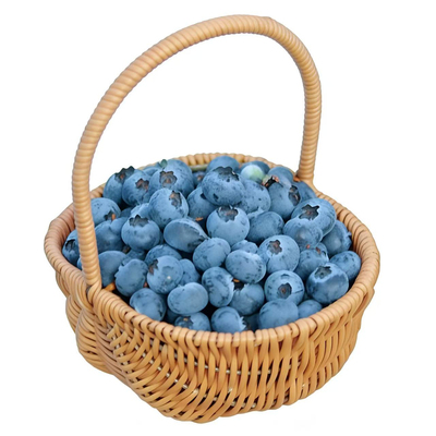 现摘云南高山花香蓝莓顺丰空运