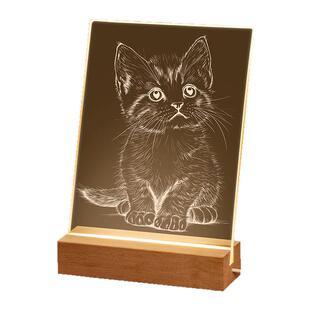 DIY雕刻画灯手工材料包创意立体LED霓虹灯学生小夜灯亚克力发光板