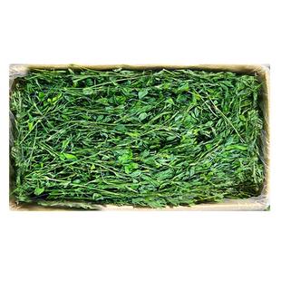 烘干紫花苜蓿草干草兔子粮草牧草幼兔专用粮食龙猫豚鼠食用草用品
