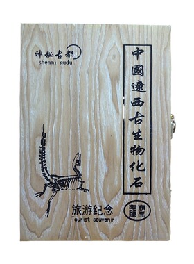 古生物动物昆虫沙鱼牙菊石三叶虫燕子绿色灰色鱼化石标本礼盒1352