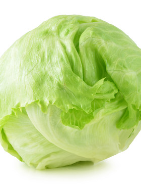 球生菜20斤汉堡沙拉火锅蔬菜食材