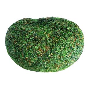 新茶安溪铁观音高山茶叶兰花香500g 冰茶 湿茶 鲜茶浓香型冰 冻茶