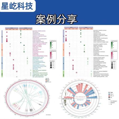 生信分析生物转录组服务2-8geo数据挖掘单细胞测序分析网络药理