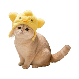 猫咪头套小黄鸡帽子变装拍照道具宠物帽子狗狗小型犬搞笑可爱脖圈