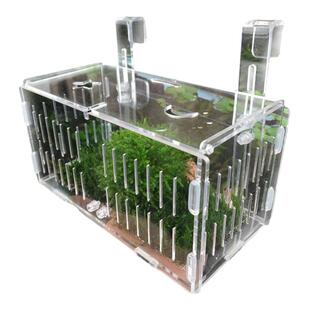 加厚亚克力隔离盒水晶虾繁育盒观赏鱼观赏虾鱼缸孵化盒繁殖盒