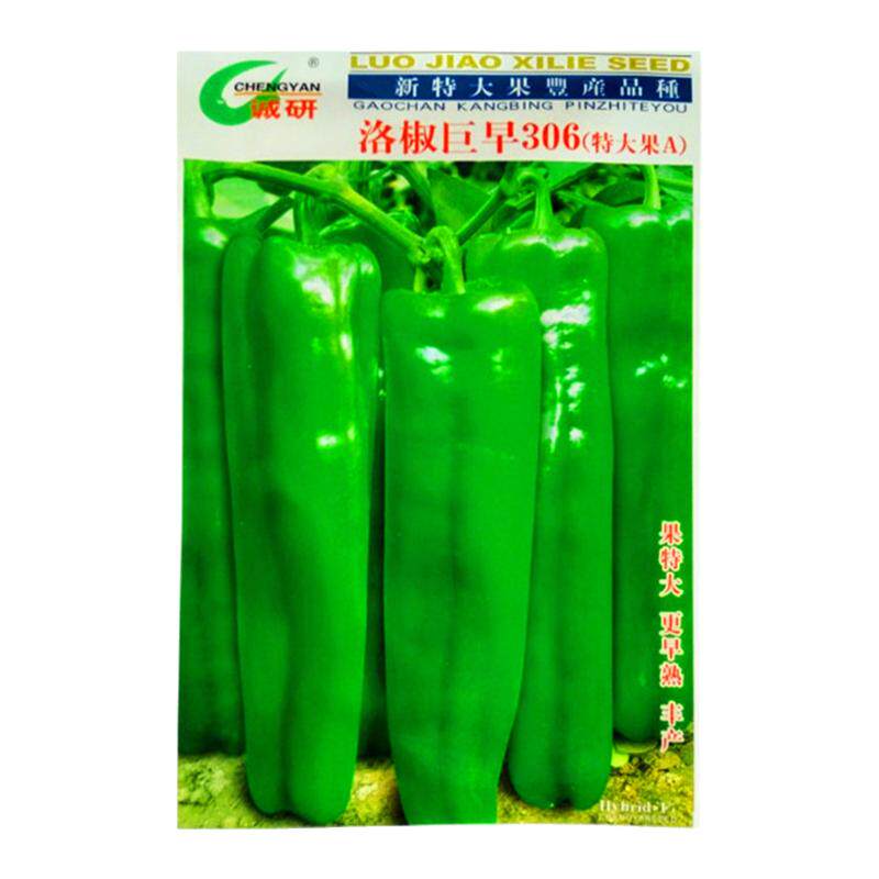 牛角青菜辣椒种子大全蔬菜种籽7g