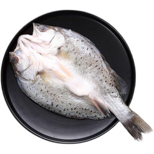 海鲈鱼500g5条去内脏清蒸开背新鲜活深海七星鱼海鱼烤鱼顺丰包邮