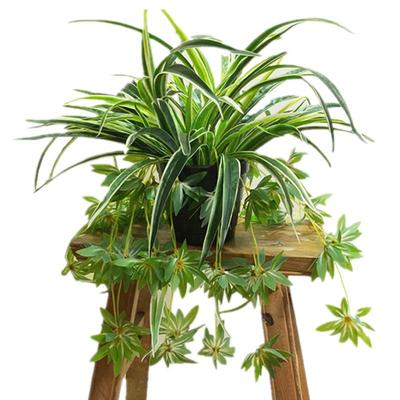 仿真绿植假吊兰盆栽空调装饰摆件