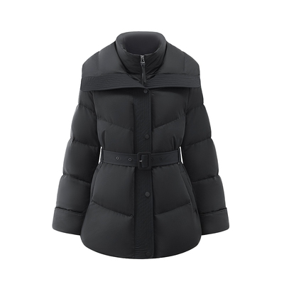 艾莱依2025新款时尚收腰鹅绒服女